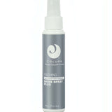 Finishing Shine Spray Plus